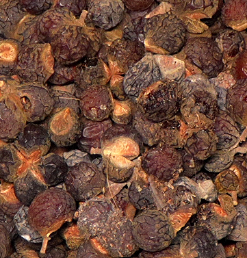 సహజ ప్రకృతిసిద్ధమైన కుంకుడు కాయలు | Natural Soap Nuts