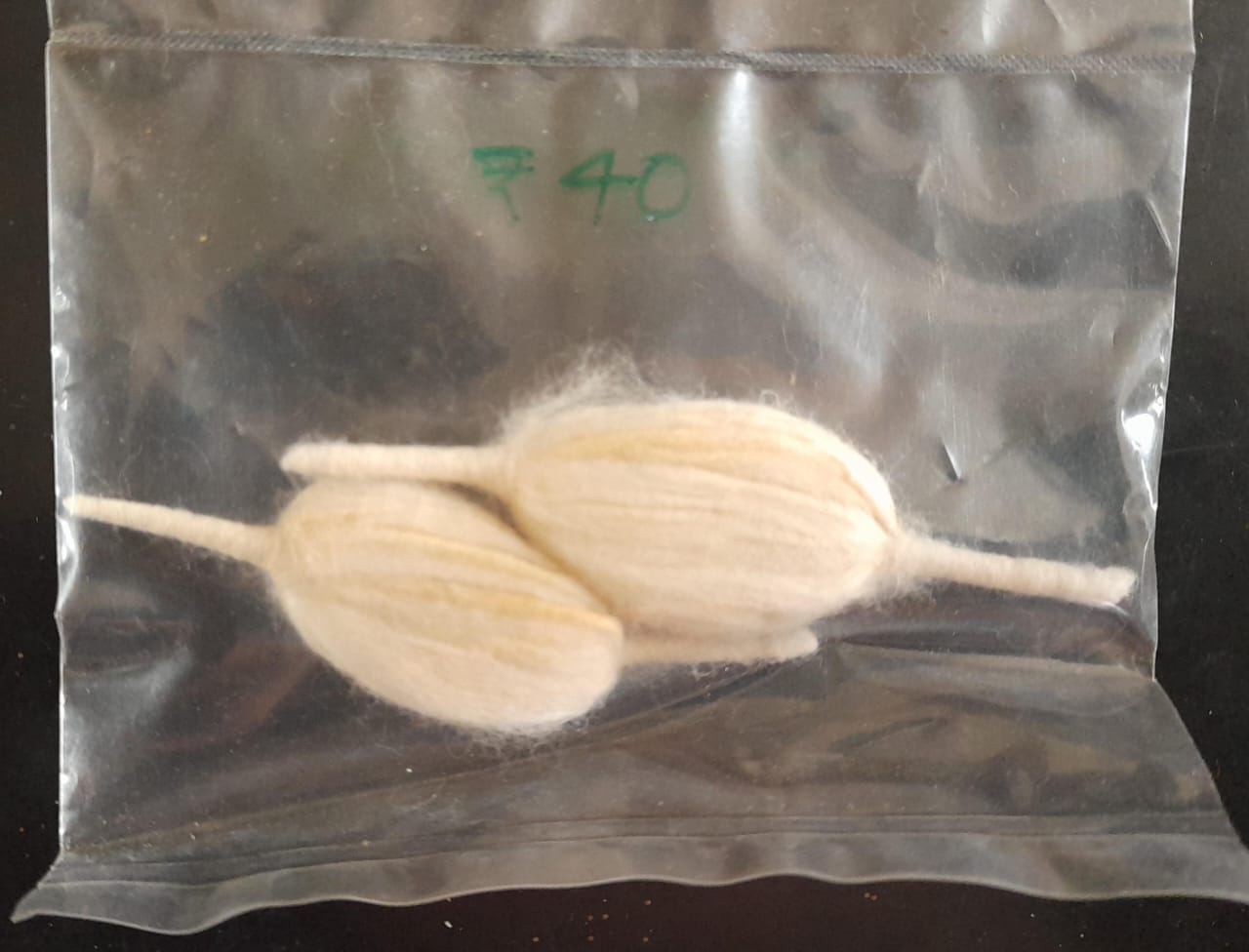 365 వత్తులు | 365 vattulu