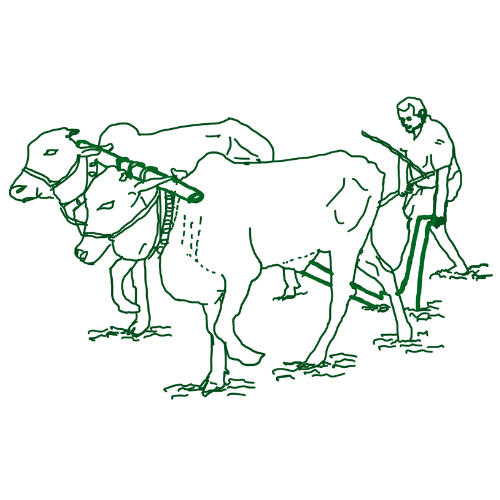 ప్రకృతి వ్యవసాయ పంట ఉత్పత్తులు | Naturally-farmed Food Products