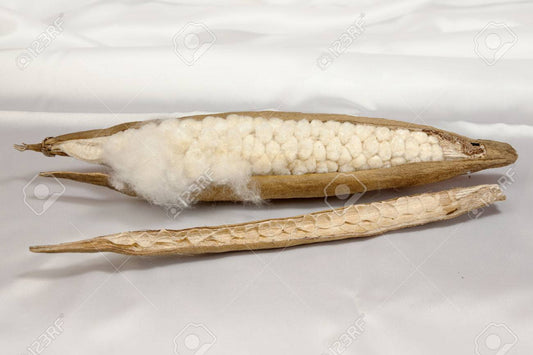 బూరుగు దూది తలగడ | Natural Kapok pillows covered in Ponduru cotton cloth
