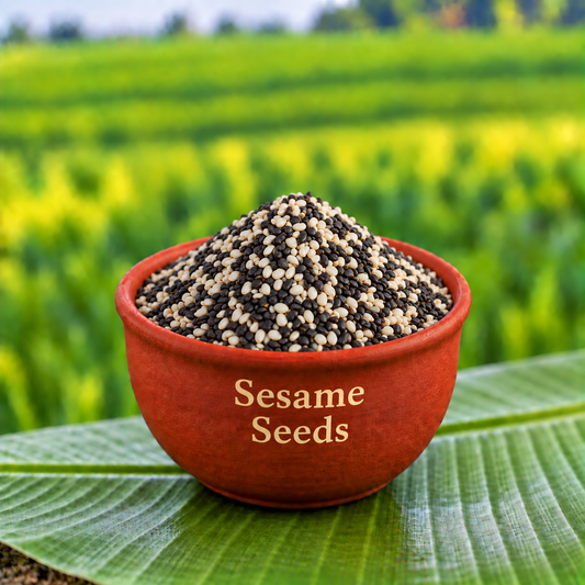 నువ్వులు కడిగినవి, శుభ్రపరచినవి | Cleaned, Hulled Sesame