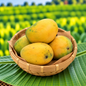 ప్రకృతి వ్యవసాయ బంగినపల్లి మామిడి(1Kg) | Naturally Farmed Banginapalli Mango(1Kg)