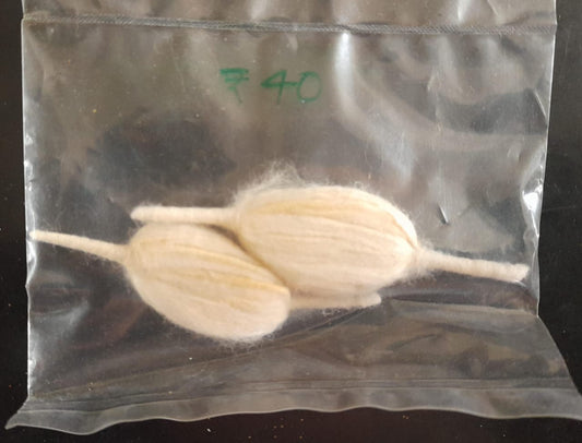 365 వత్తులు | 365 vattulu