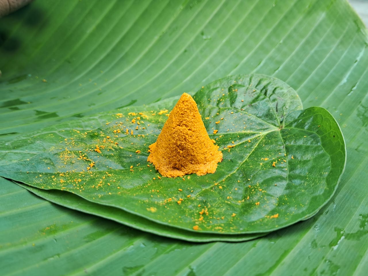 దంచిన ప్రకృతి వ్యవసాయ సేలం పసుపు పొడి | Stone-mortared & Naturally Farmed Selam Turmeric Powder