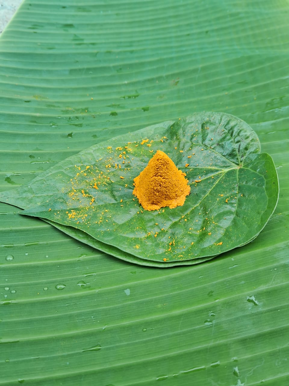 దంచిన ప్రకృతి వ్యవసాయ సేలం పసుపు పొడి | Stone-mortared & Naturally Farmed Selam Turmeric Powder
