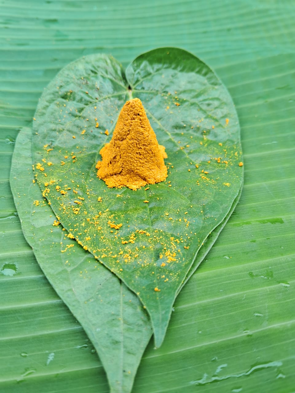 దంచిన ప్రకృతి వ్యవసాయ సేలం పసుపు పొడి | Stone-mortared & Naturally Farmed Selam Turmeric Powder